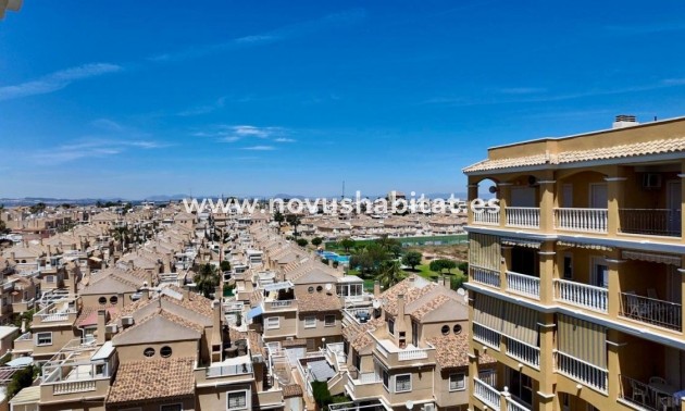 Penthouses - Neue Gebäude - Torrevieja - Torrevieja
