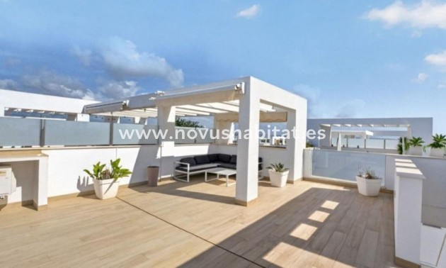Penthouses - Neue Gebäude - Torrevieja - Torrevieja