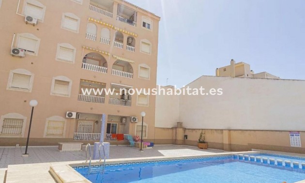 Penthouses - Neue Gebäude - Torrevieja - Torrevieja