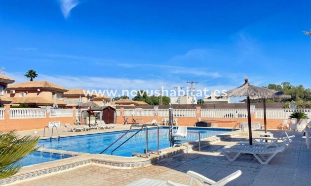 Penthouses - Neue Gebäude - Torrevieja - Torrevieja