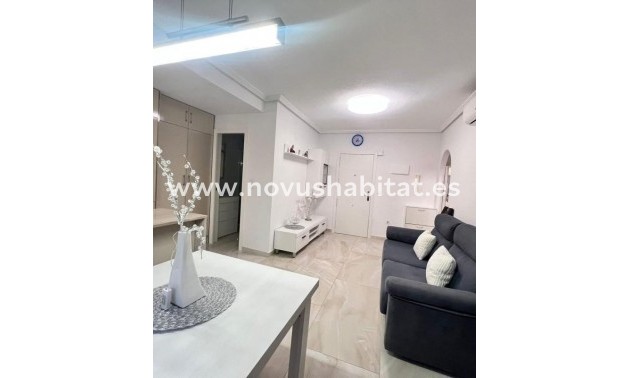 Penthouses - Neue Gebäude - Torrevieja - Torrevieja