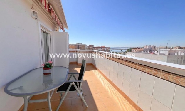 Penthouses - Neue Gebäude - Torrevieja - Torrevieja
