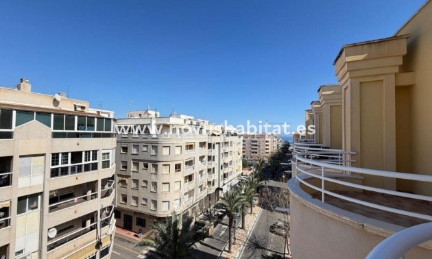 Penthouses - Neue Gebäude - Torrevieja - Torrevieja