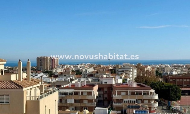 Penthouses - Neue Gebäude - Torrevieja - Torrevieja