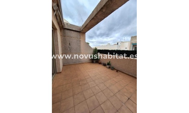 Penthouses - Neue Gebäude - Torrevieja - Torrevieja