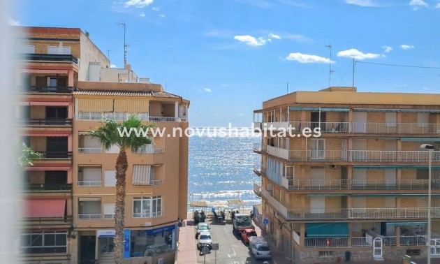 Penthouses - Nieuwbouw - Torrevieja - Torrevieja