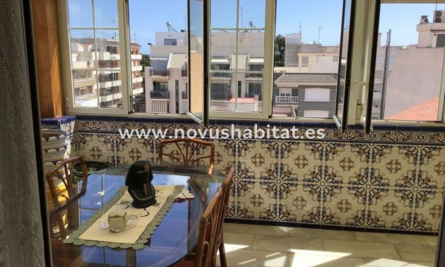 Penthouses - Nouvelle construction - Guardamar del Segura - Guardamar del Segura