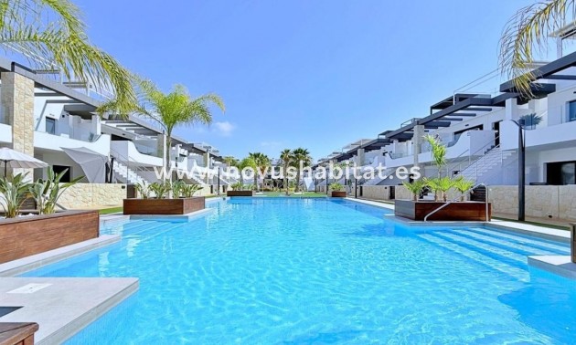 Penthouses - Nouvelle construction - Orihuela - Orihuela