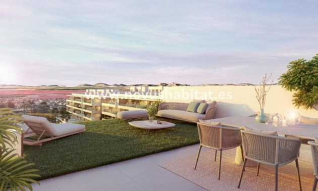Penthouses - Nouvelle construction - Torrevieja - Torrevieja