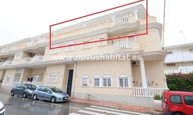 Penthouses - Nowa inwestycja - Torrevieja - Torrevieja