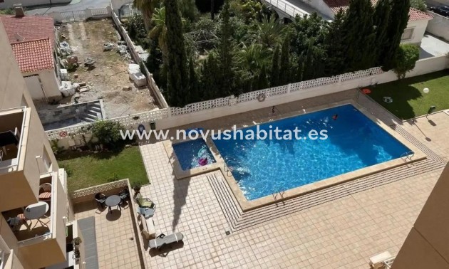 Penthouses - Nueva construcción  - Torrevieja - Torrevieja