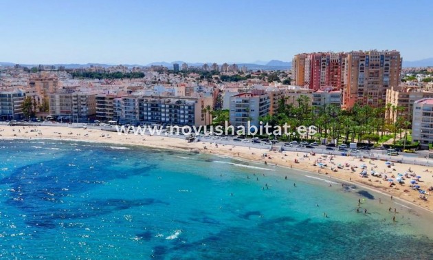 Penthouses - Nueva construcción  - Torrevieja - Torrevieja