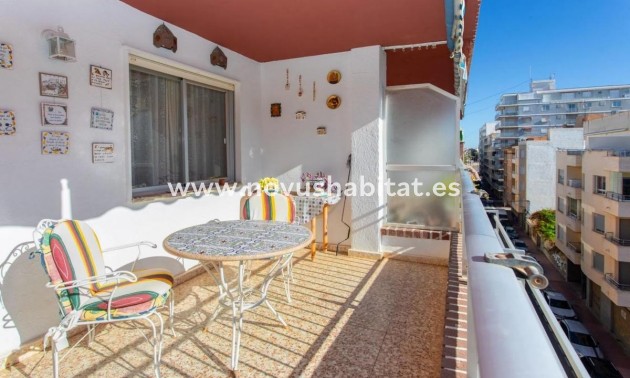 Penthouses - Nueva construcción  - Torrevieja - Torrevieja