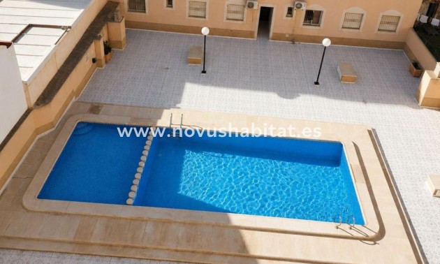 Penthouses - Nueva construcción  - Torrevieja - Torrevieja