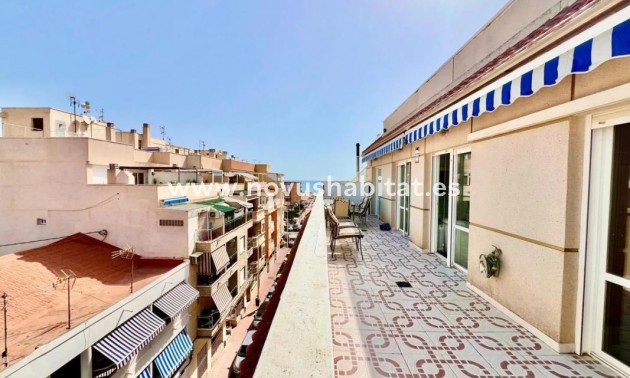 Penthouses - Nýbygging - Torrevieja - Torrevieja