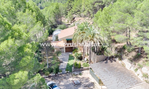 Plot - Resale - Muro d'Alcoi - ALT-99012