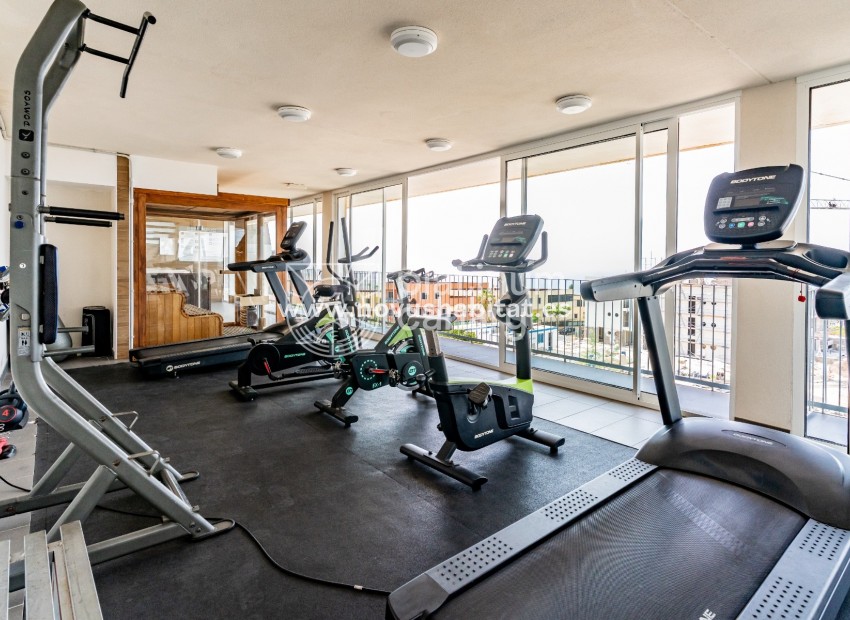 Resale - Apartment - Adeje - Santa Cruz de Tenerife