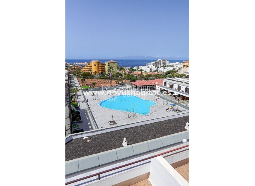 Resale - Apartment - Adeje - Santa Cruz Tenerife