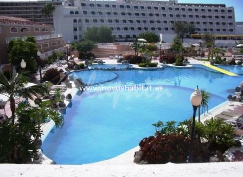 Resale - Apartment - Costa Adeje - Sol Sun Beach Costa Adeje Tenerife