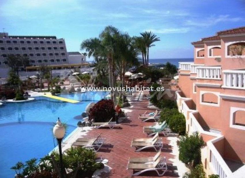 Resale - Apartment - Costa Adeje - Sol Sun Beach Costa Adeje Tenerife