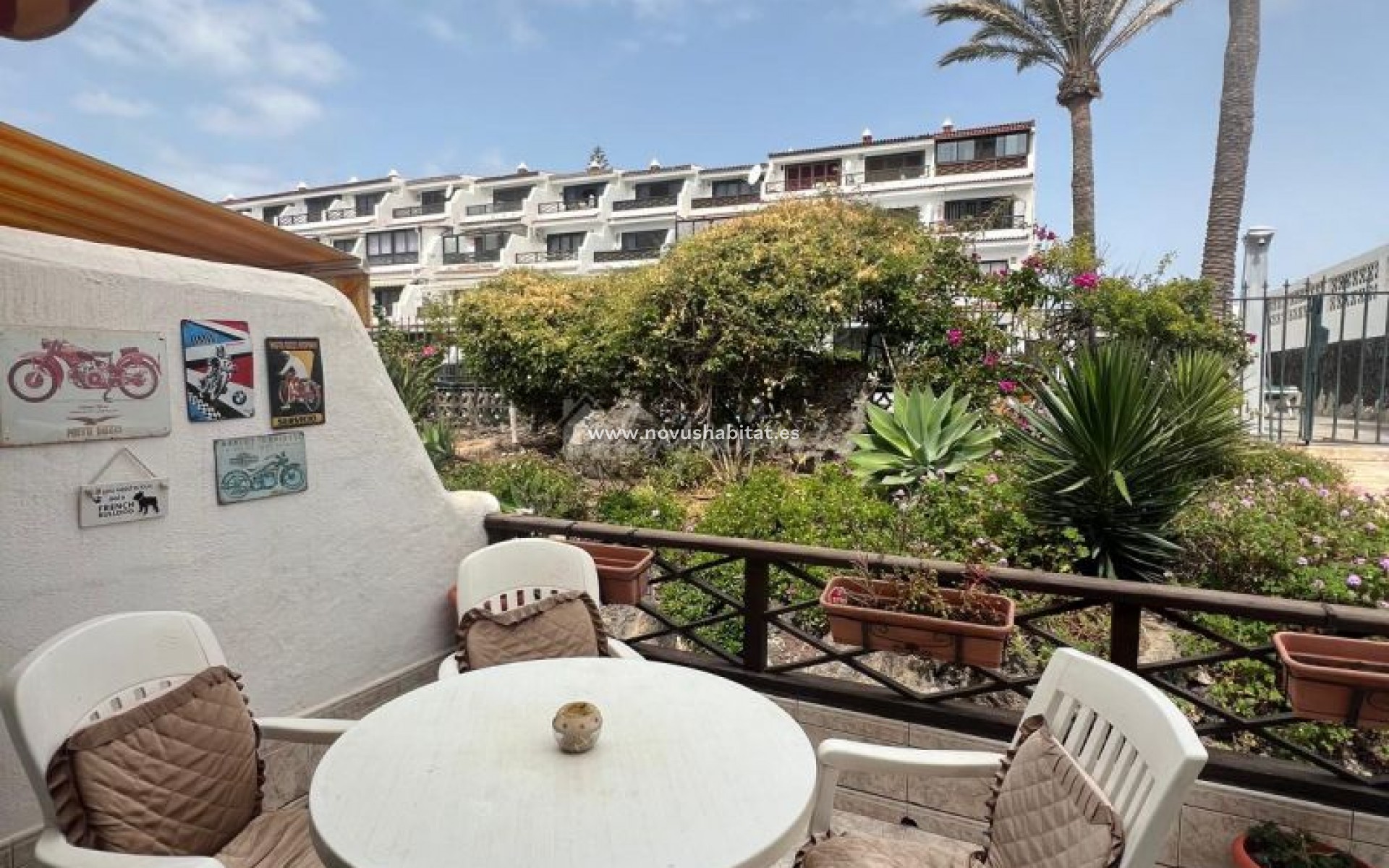 Resale - Apartment - Costa Del Silencio - Amarilla Bay Costa Del Silencio Tenerife