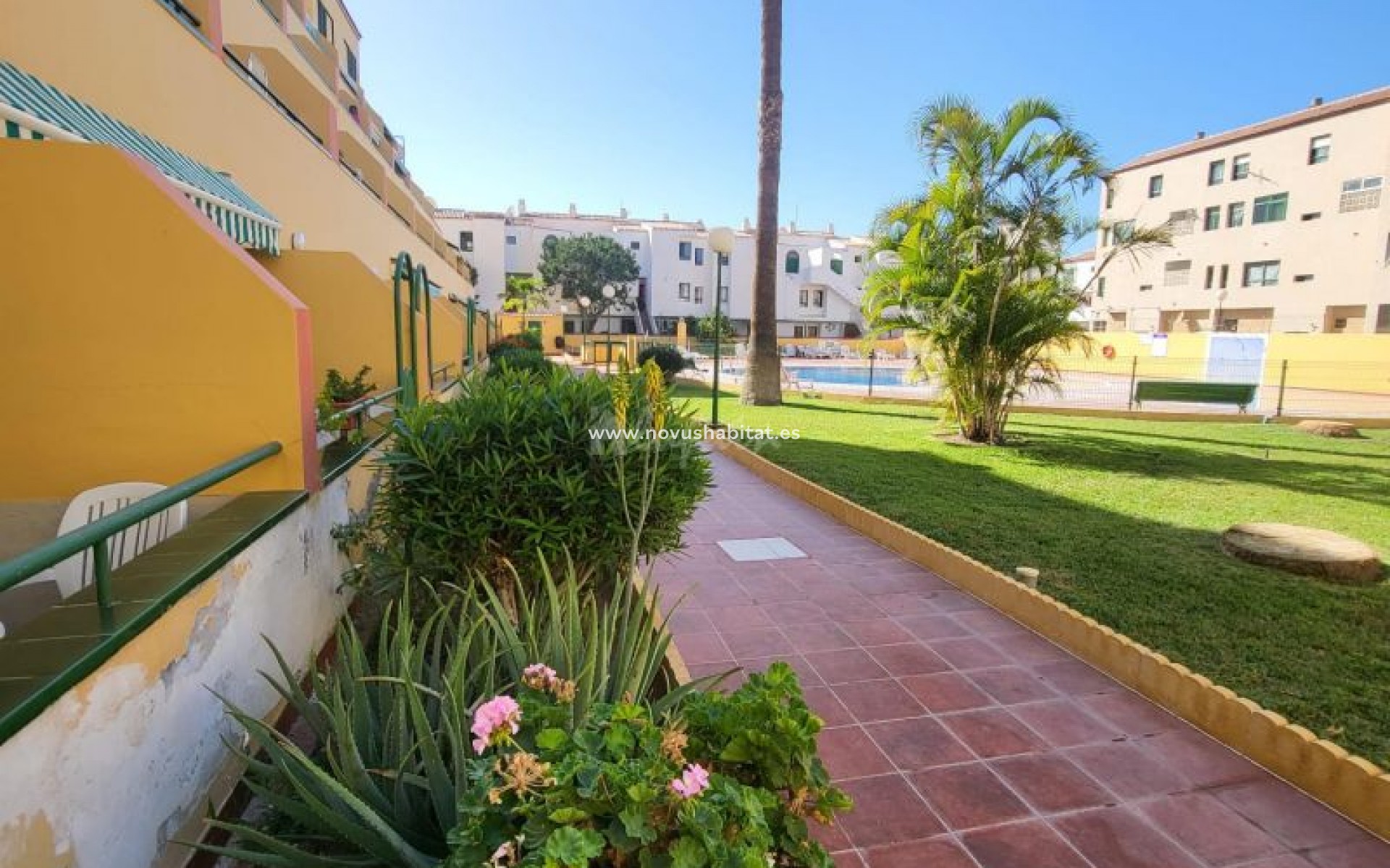 Resale - Apartment - Costa Del Silencio - Edf Halcon Costa Del Silencio Tenerife