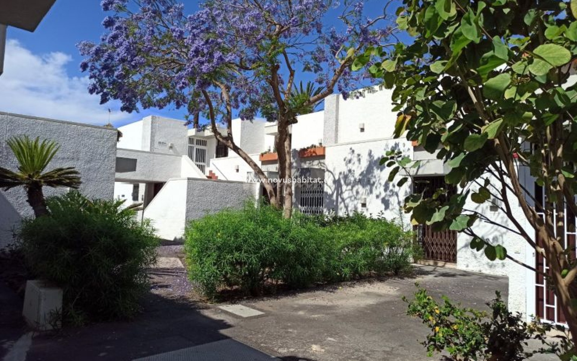 Resale - Apartment - Costa Del Silencio - Primavera Costa Del Silencio Tenerife