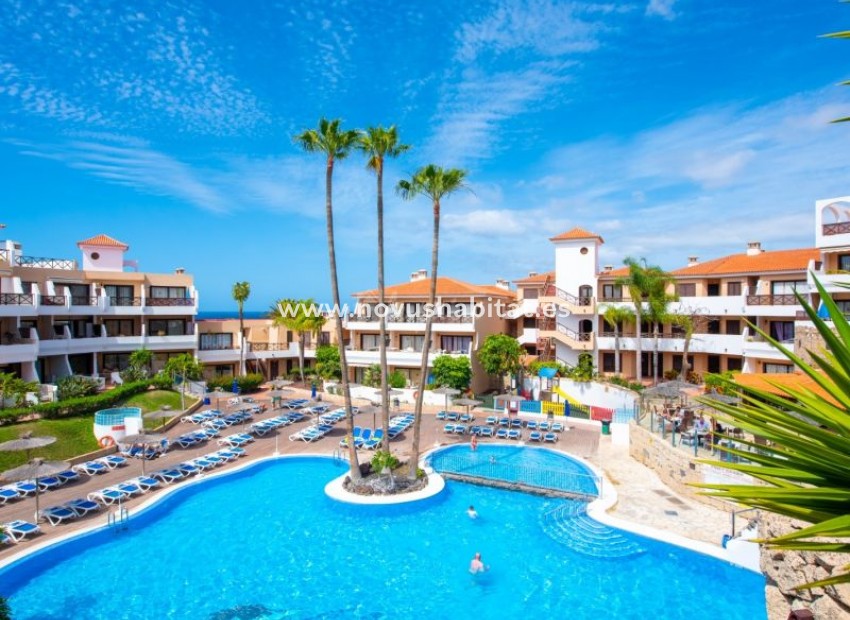 Resale - Apartment - Golf Del Sur - Parque Albatros Golf Del Sur Tenerife