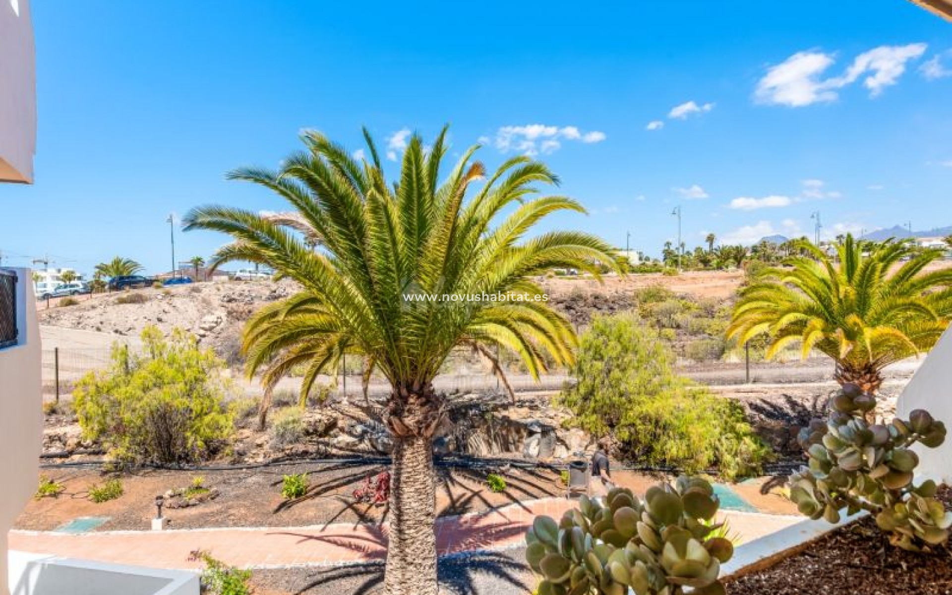 Resale - Apartment - Golf Del Sur - Parque Albatros Golf Del Sur Tenerife