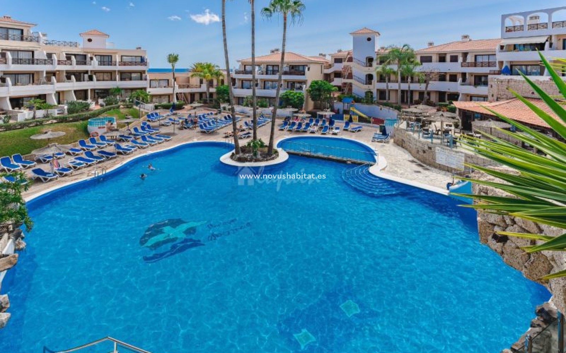 Resale - Apartment - Golf Del Sur - Parque Albatros Golf Del Sur Tenerife