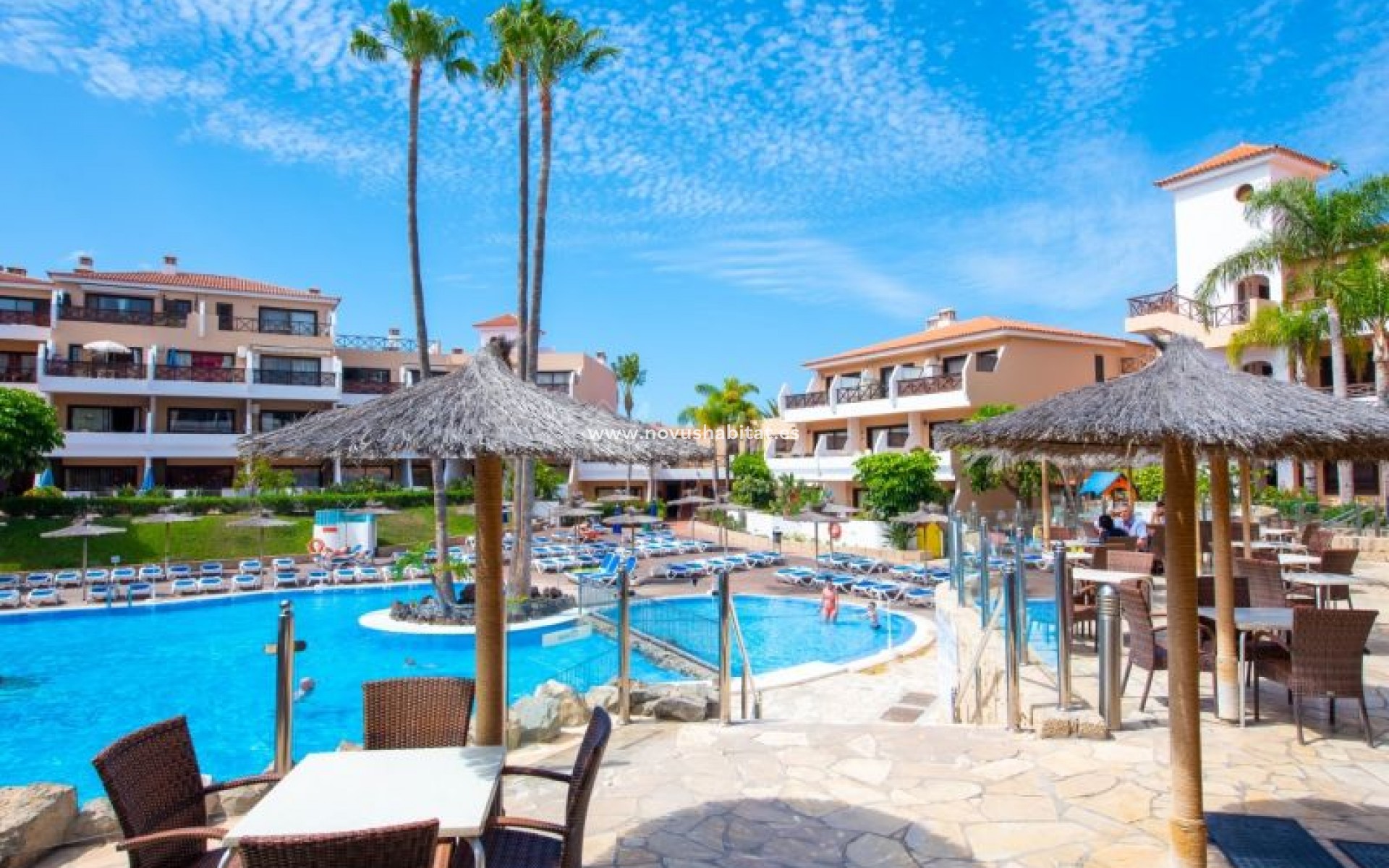 Resale - Apartment - Golf Del Sur - Parque Albatros Golf Del Sur Tenerife