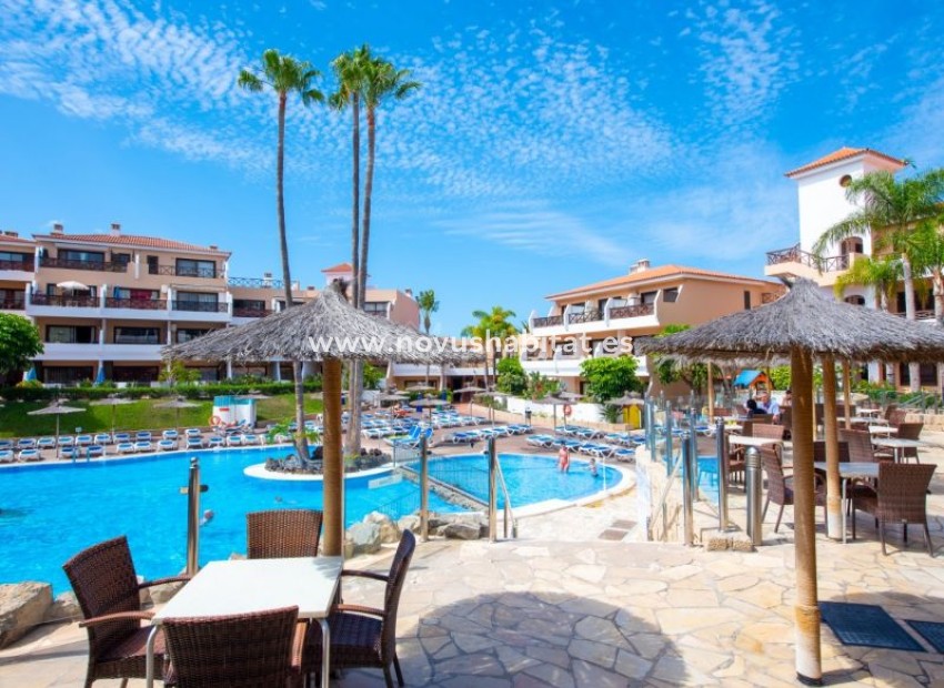 Resale - Apartment - Golf Del Sur - Parque Albatros Golf Del Sur Tenerife