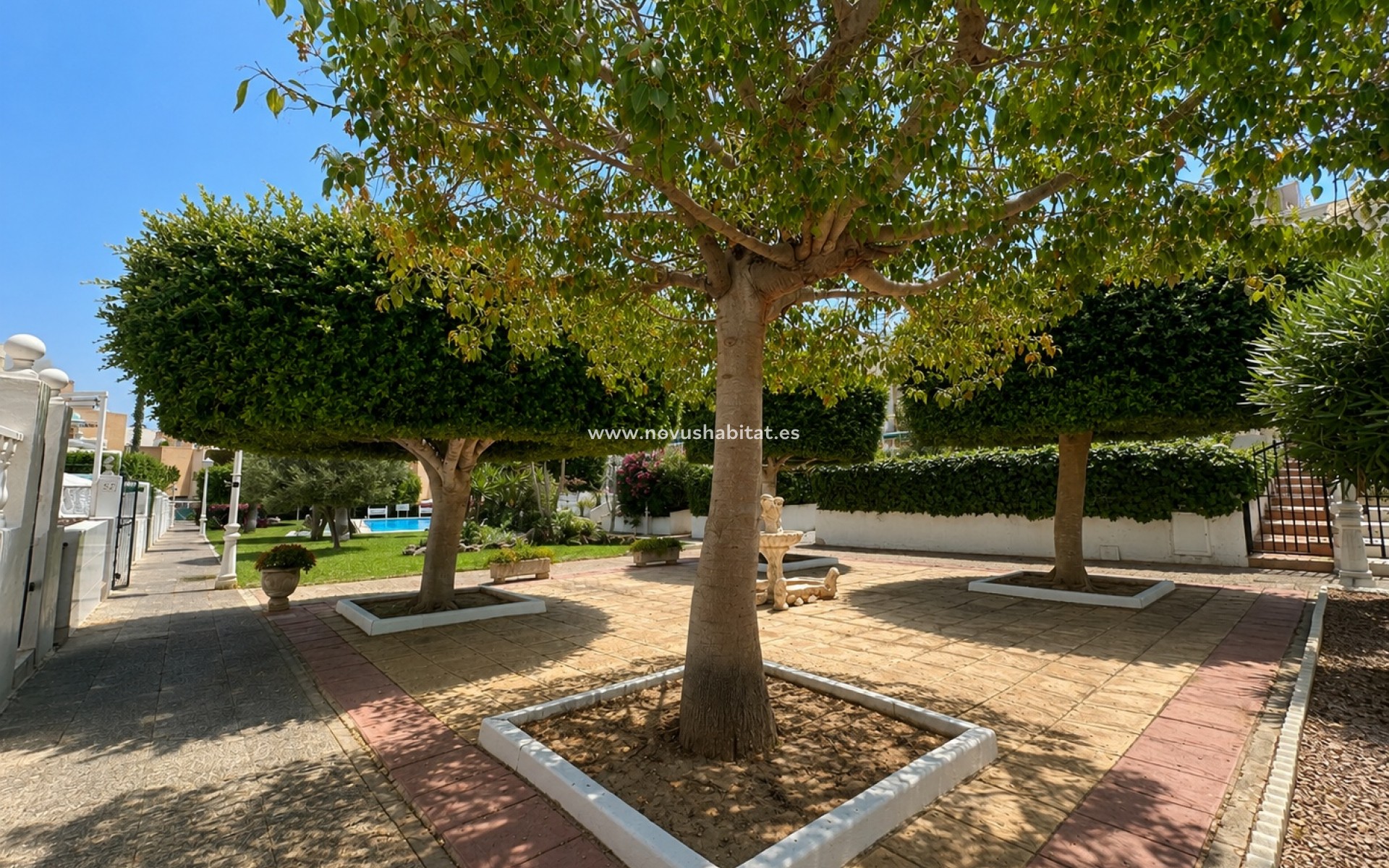 Resale - Apartment - La Mata