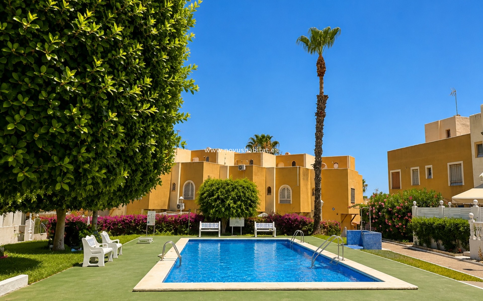 Resale - Apartment - La Mata