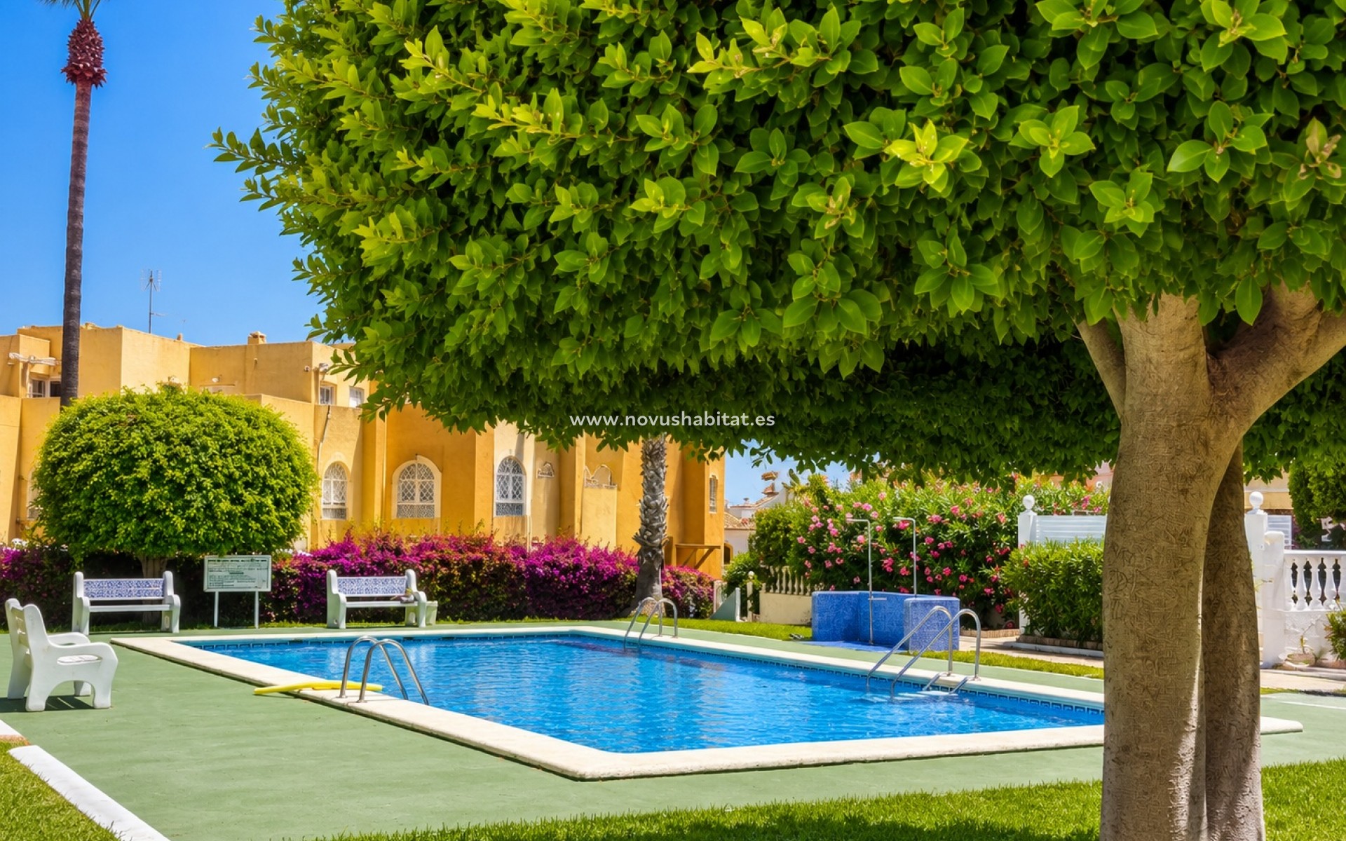 Resale - Apartment - La Mata