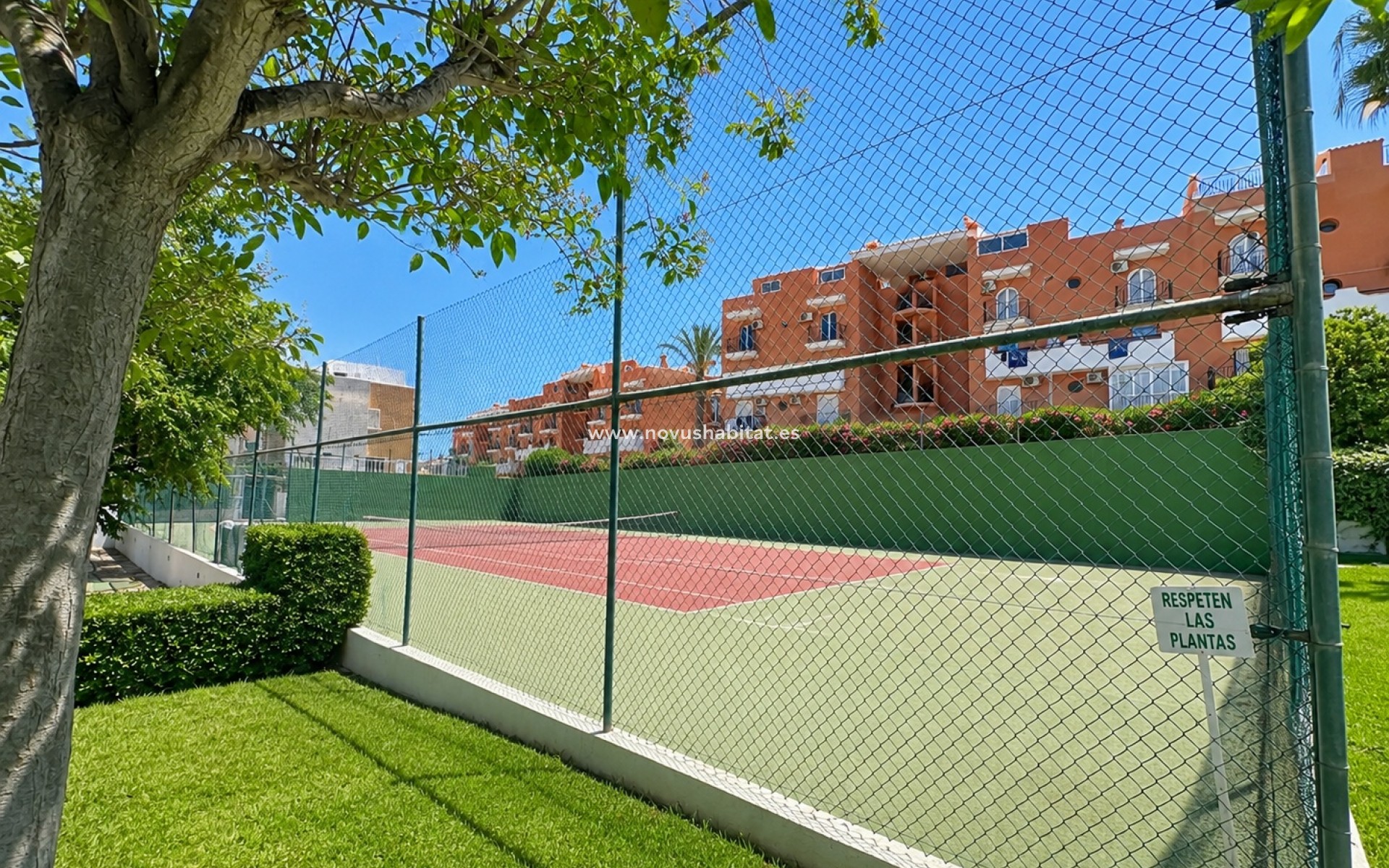 Resale - Apartment - La Mata