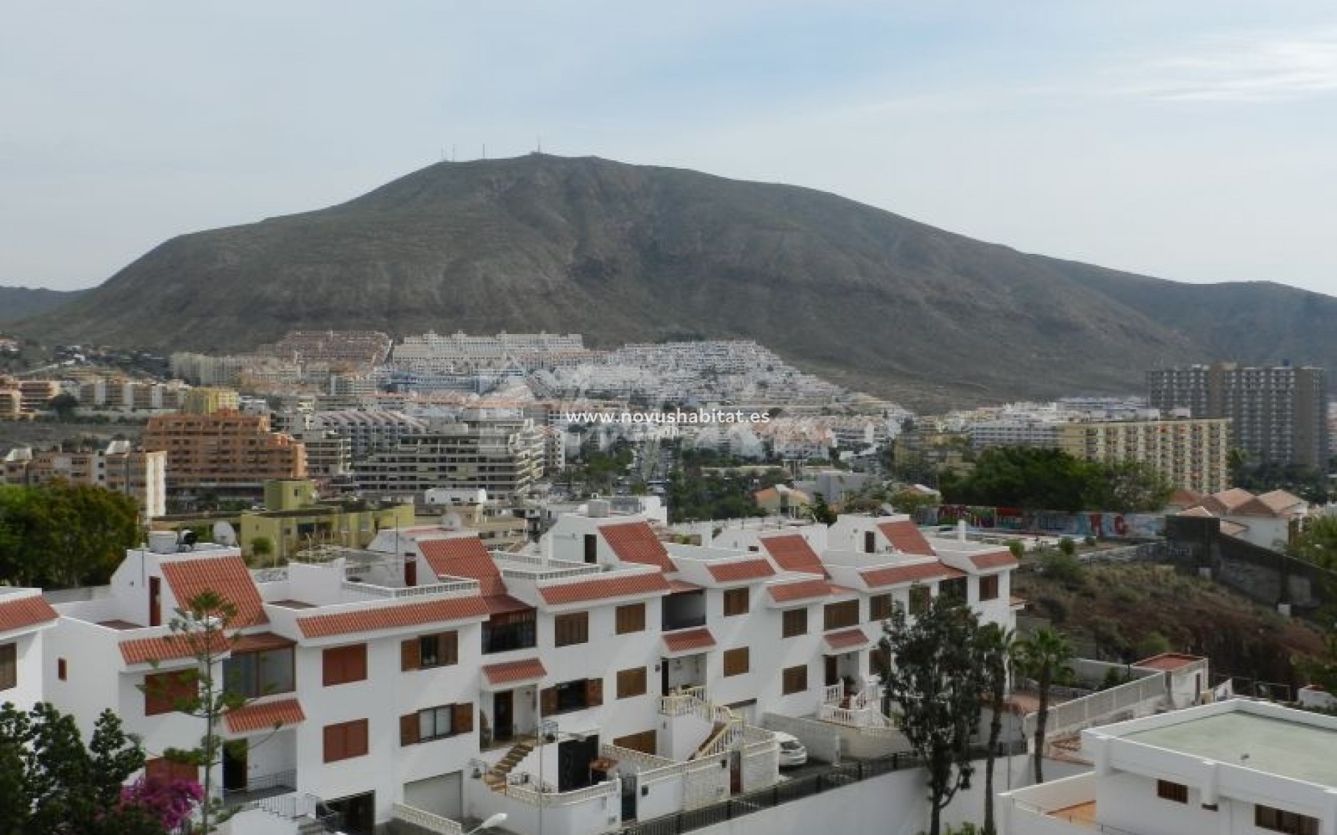 Resale - Apartment - Los Cristianos - Arona, Los Cristianos, Tenerife