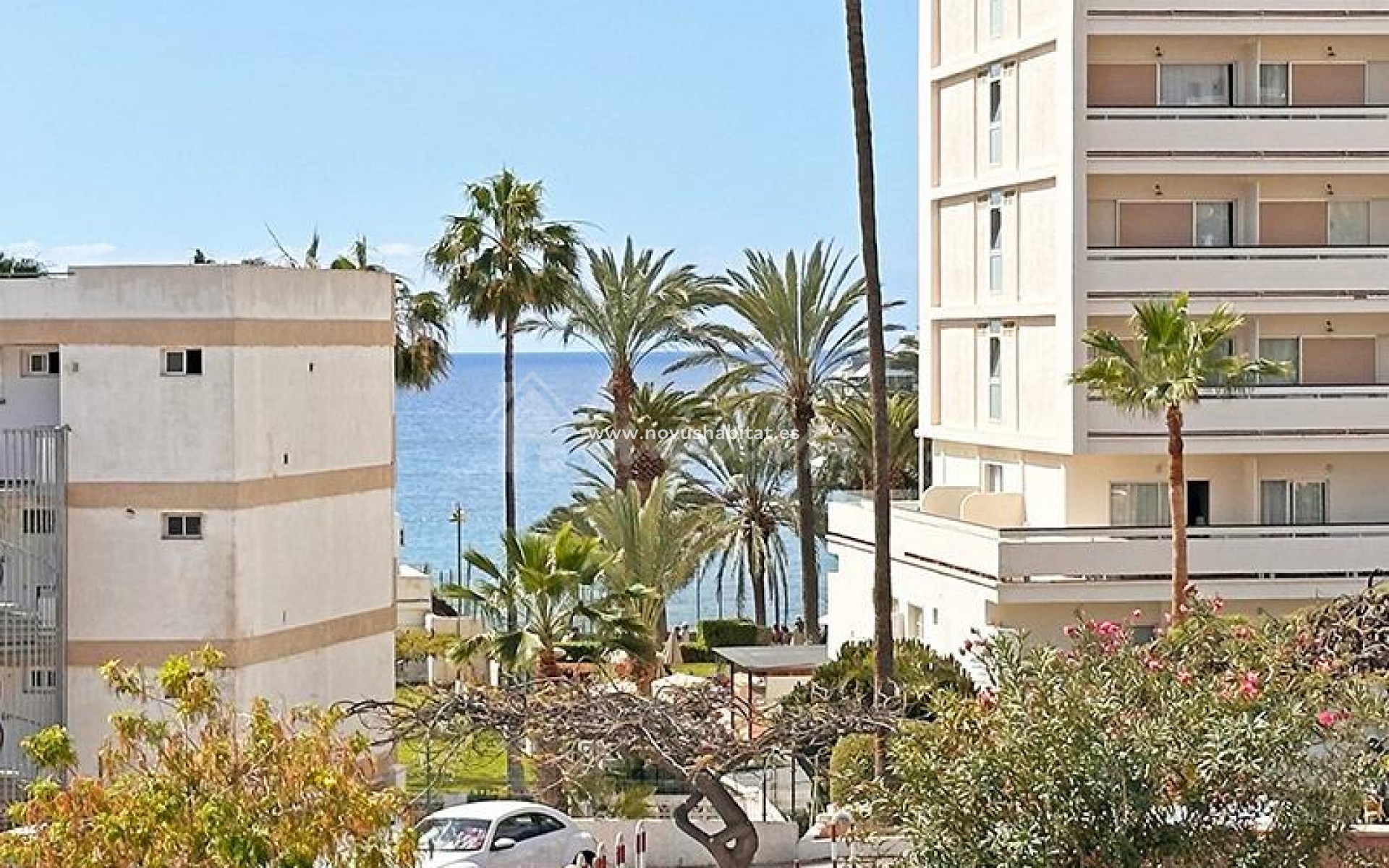 Resale - Apartment - Los Cristianos - Las Rosas Los Cristianos Tenerife