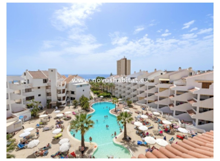 Resale - Apartment - Los Cristianos - Paloma Beach Los Cristianos Tenerife