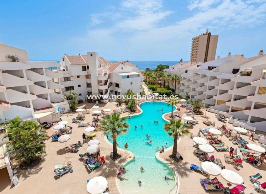 Resale - Apartment - Los Cristianos - Paloma Beach Los Cristianos Tenerife