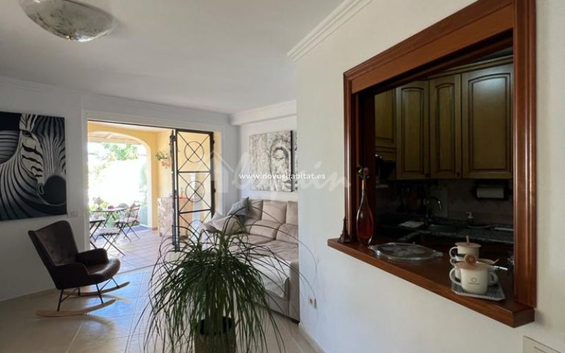 Resale - Apartment - Los Cristianos - Parque Tropical Los Cristianos Tenerife