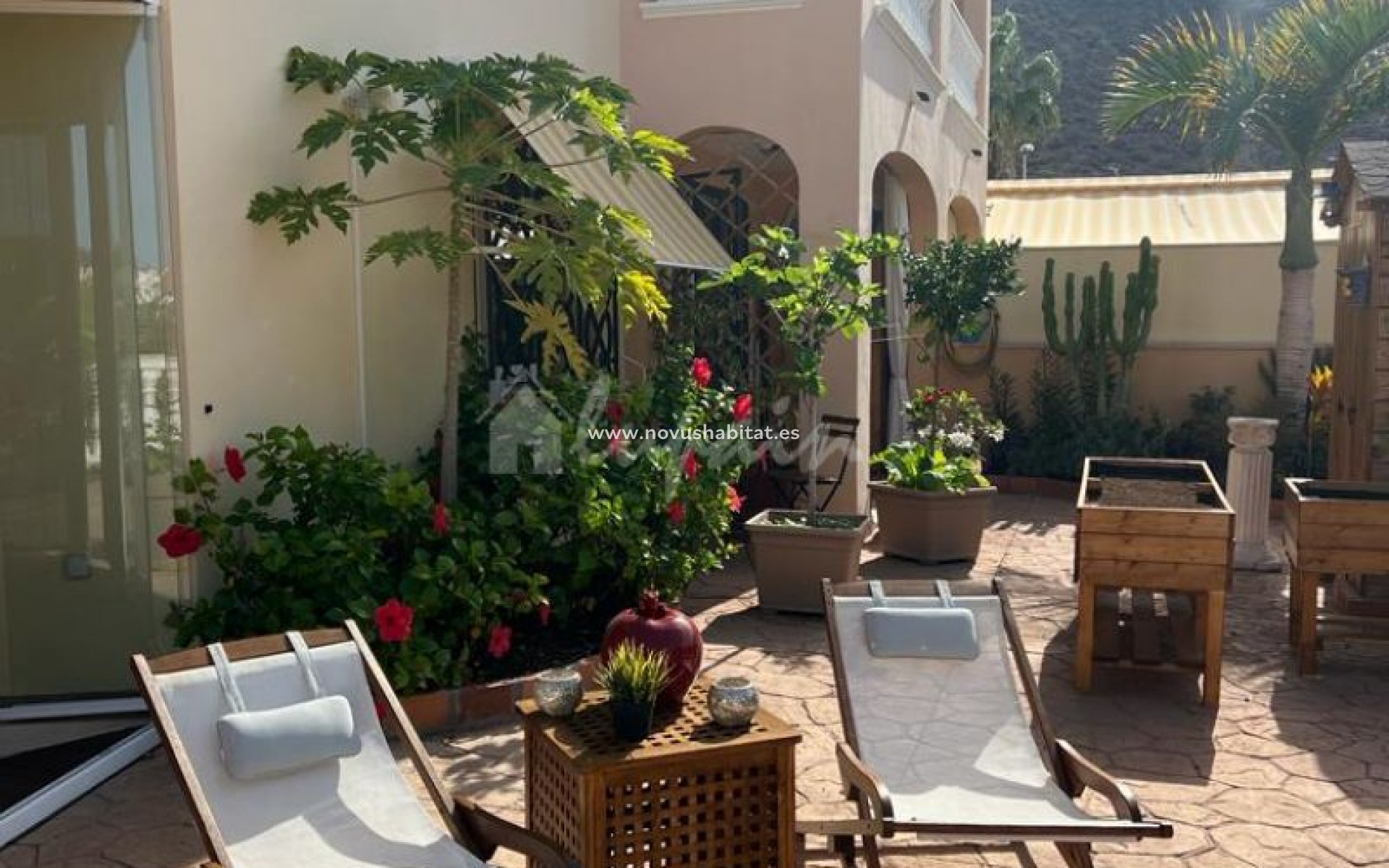 Resale - Apartment - Los Cristianos - Parque Tropical Los Cristianos Tenerife