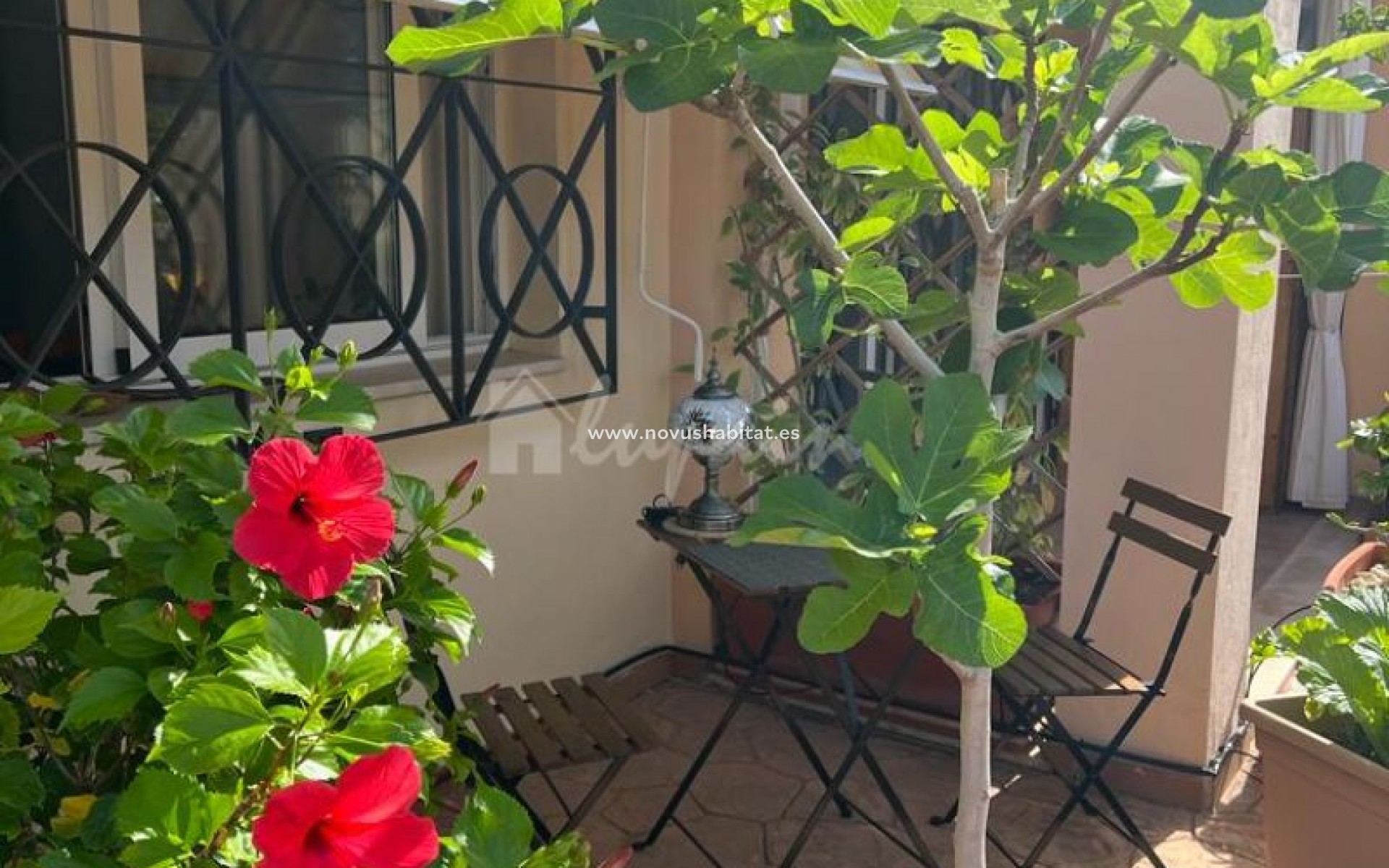 Resale - Apartment - Los Cristianos - Parque Tropical Los Cristianos Tenerife