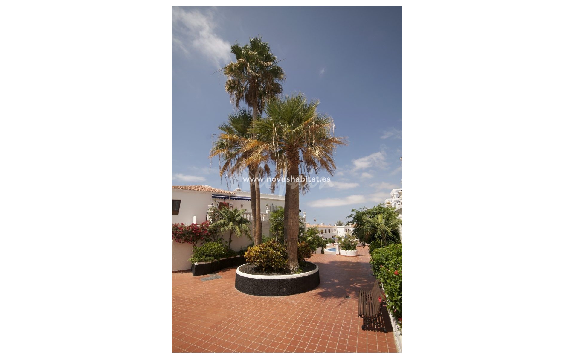 Resale - Apartment - Los Cristianos - Royal Palm Los Cristianos Tenerife