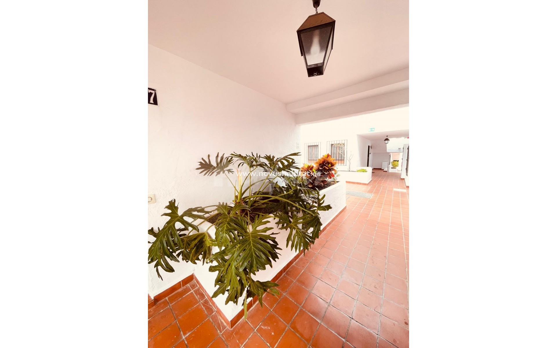 Resale - Apartment - Los Cristianos - Royal Palm Los Cristianos Tenerife