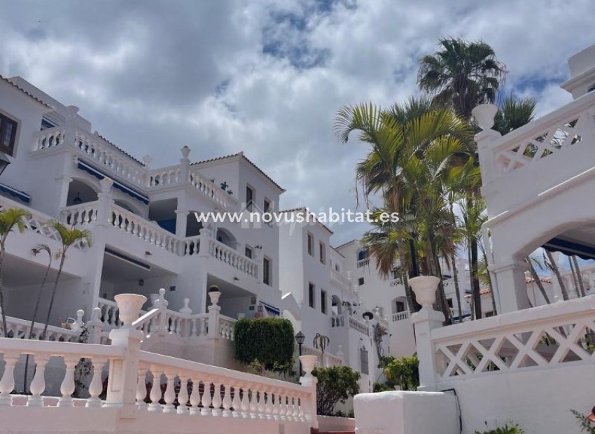 Resale - Apartment - Los Cristianos - Royal Palm Los Cristianos Tenerife