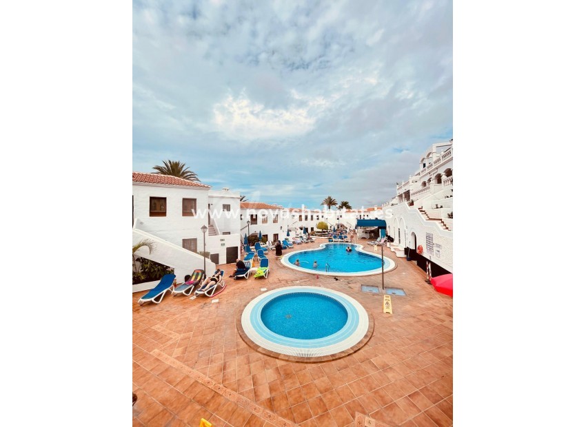 Resale - Apartment - Los Cristianos - Royal Palm Los Cristianos Tenerife