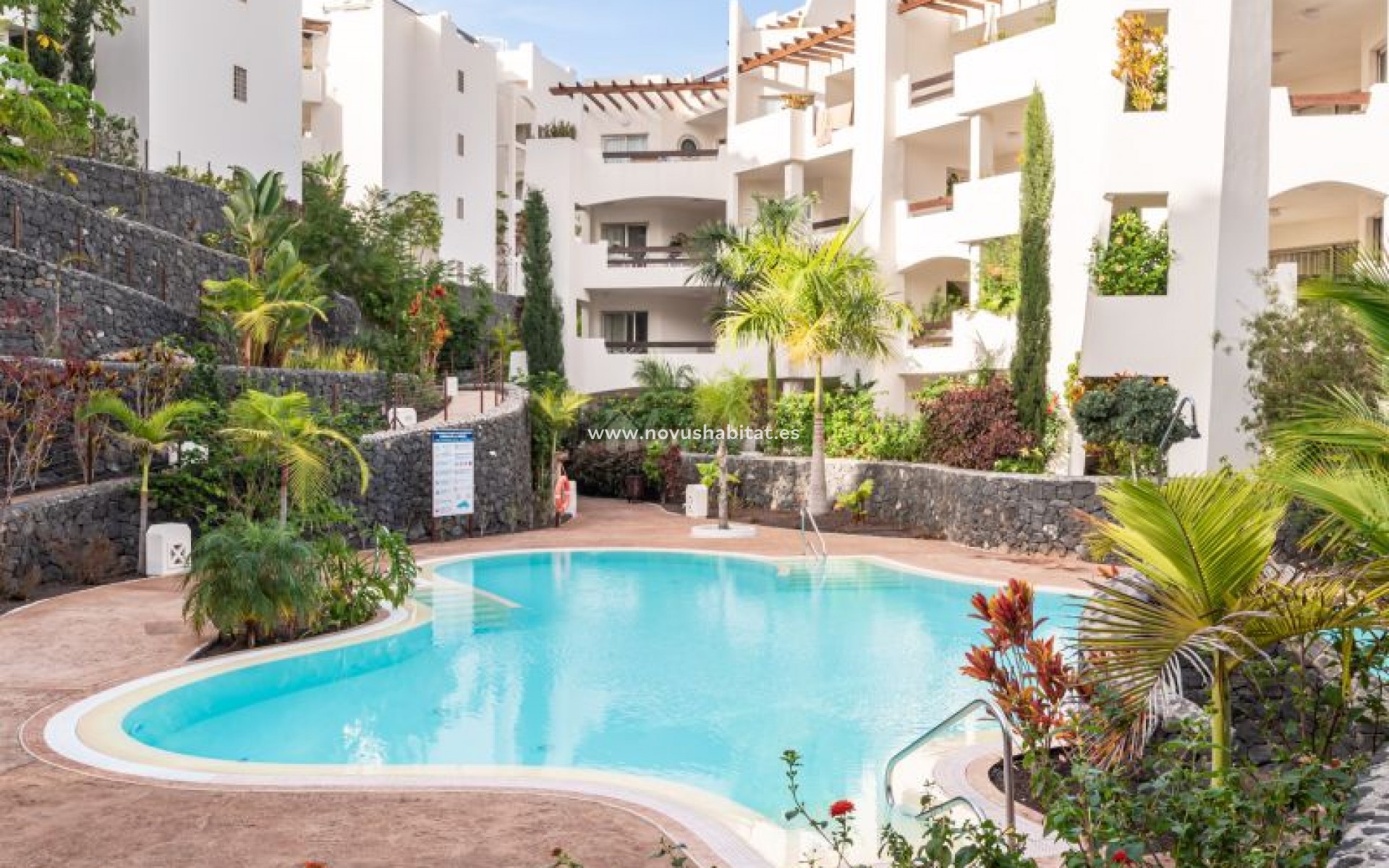 Resale - Apartment - Palm Mar - Colinas De Los Menceyes Palm Mar Tenerife