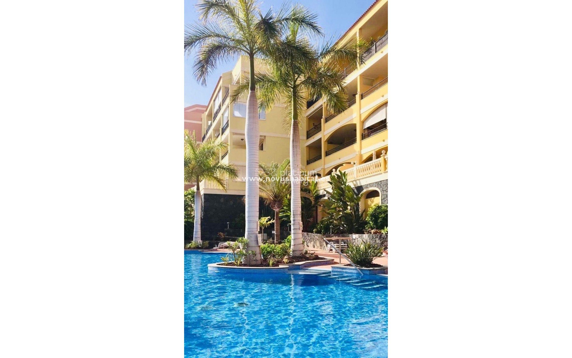 Resale - Apartment - Palm Mar - Santa Cruz de Tenerife