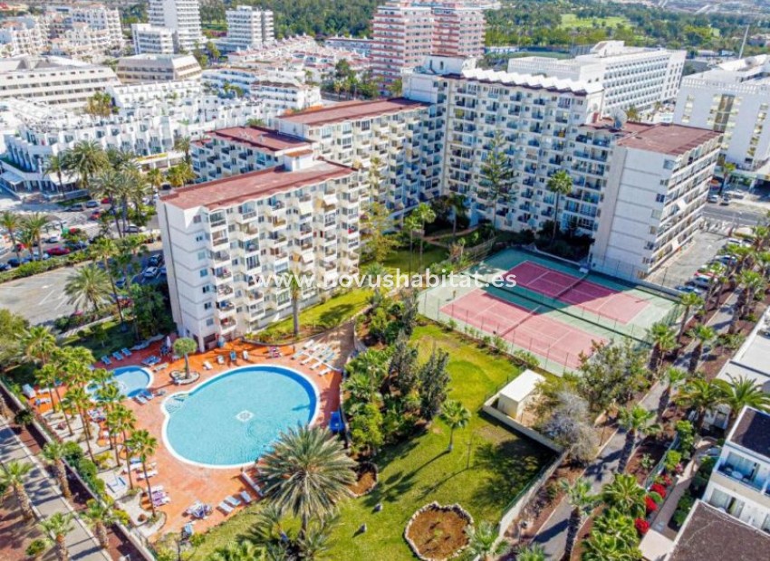 Resale - Apartment - Playa De Las Americas - Avda Santiado Puig, 38650 Playa De Las Americas Adeje Tenerife